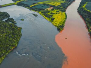 Estado de São Paulo não ratifica benefícios fiscais de ICMS para a Zona Franca de Manaus